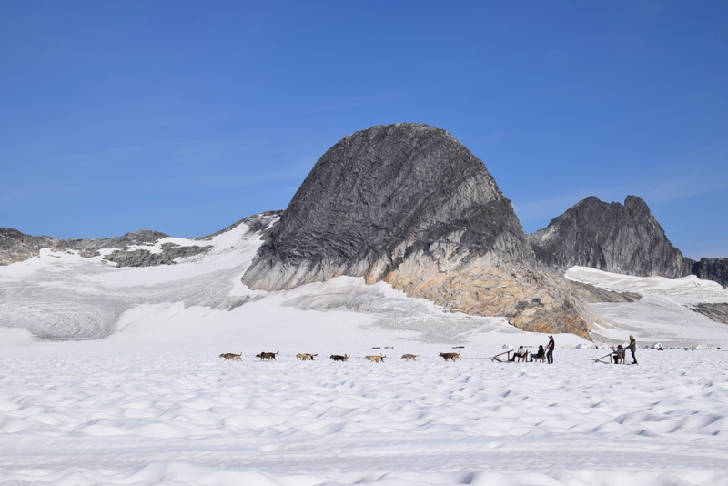 Mushing a dog sled team of huskies across a glacier is an unforgettable adventure.