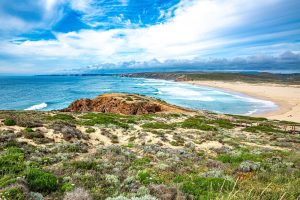 Portuguese Camino Coastal Route