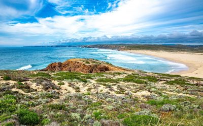 Planning a Group Escape? Why Portuguese Villas Are Perfect for Shared Travel Experiences