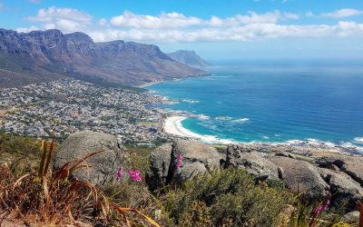 Collette Will Help You Explore the World