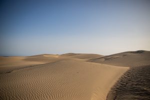 Playa de Maspalomas dunes