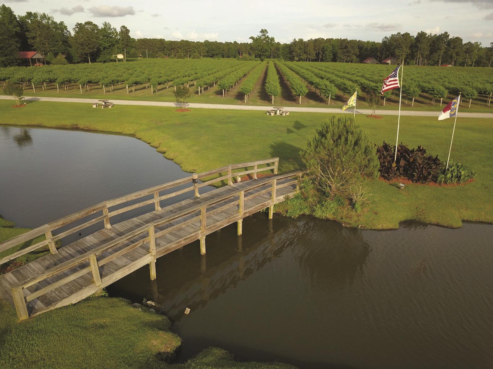 Lu Mil Vineyards photo courtesy of Lu Mil Vineyards - North Carolina Agritourism