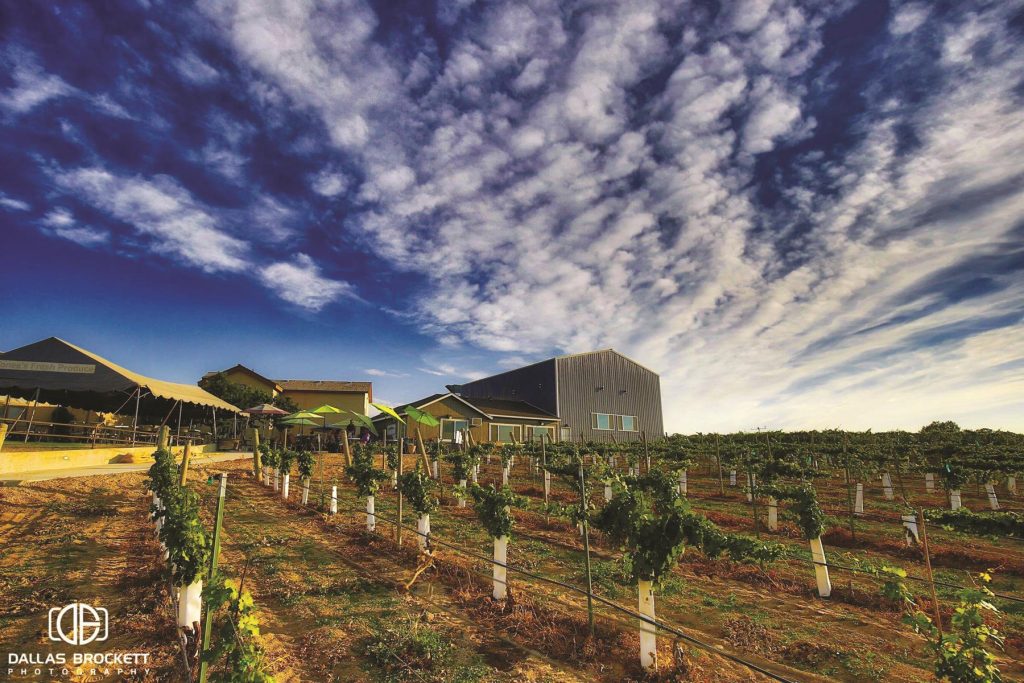 Parma Ridge - Idaho Vineyards