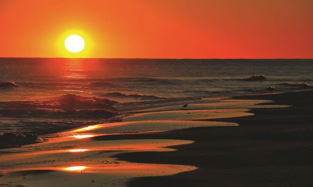 Alabama Tours Include Vineyards, Fine Dining and Legendary Jazz