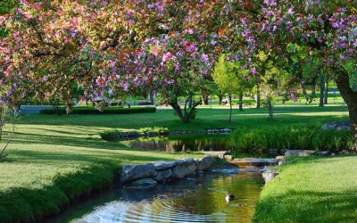 Saratoga Museums You Won’t Want to Miss