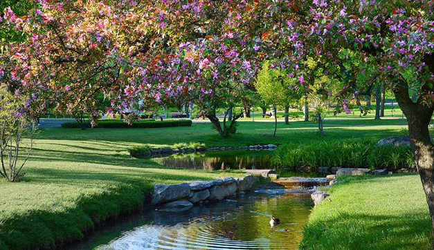 Saratoga Museums You Won’t Want to Miss