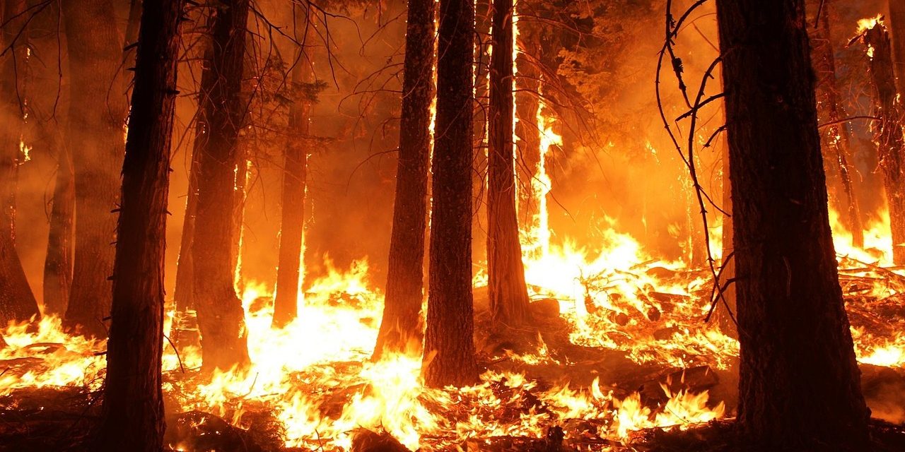 Travel and Tourism: The Impact of the California Wildfires