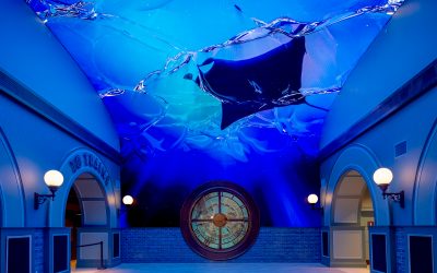 St. Louis Aquarium at Union Station Brings Life to Downtown