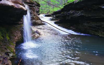 Tranquil Forests & Historic Sites in Southern Indiana