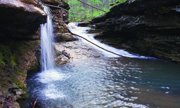 Tranquil Forests & Historic Sites in Southern Indiana