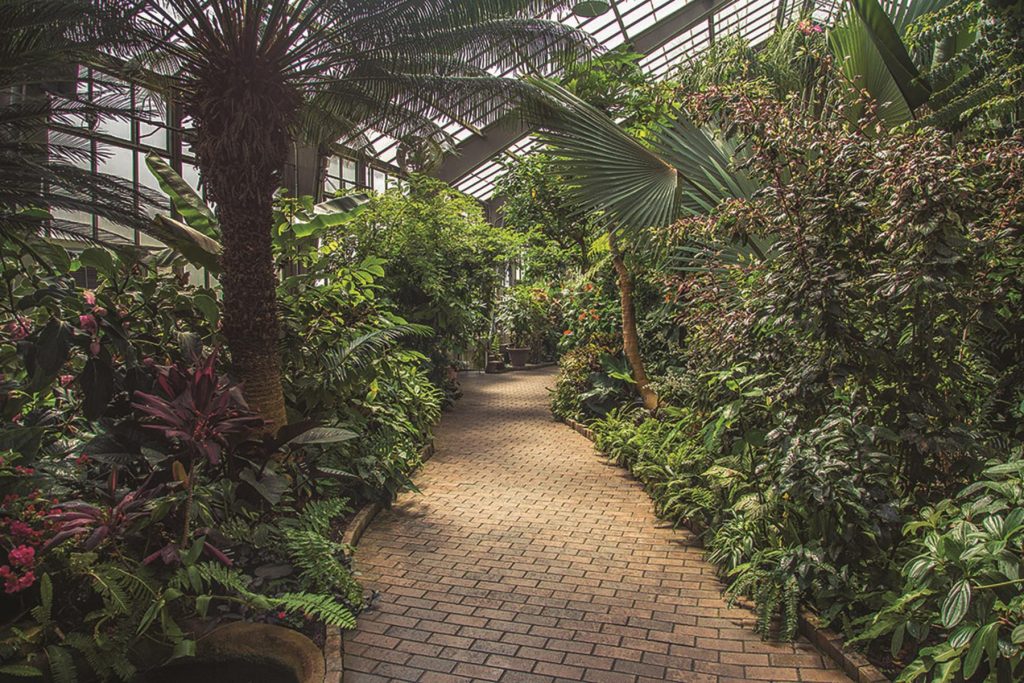 Botanical gardens in Indiana include the Garfield Park Conservatory