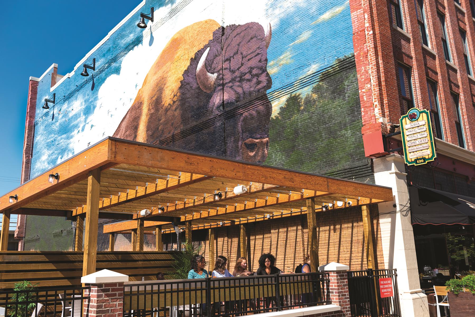 Fort Wayne Outdoor Bison Mural is an example of public art in Indiana