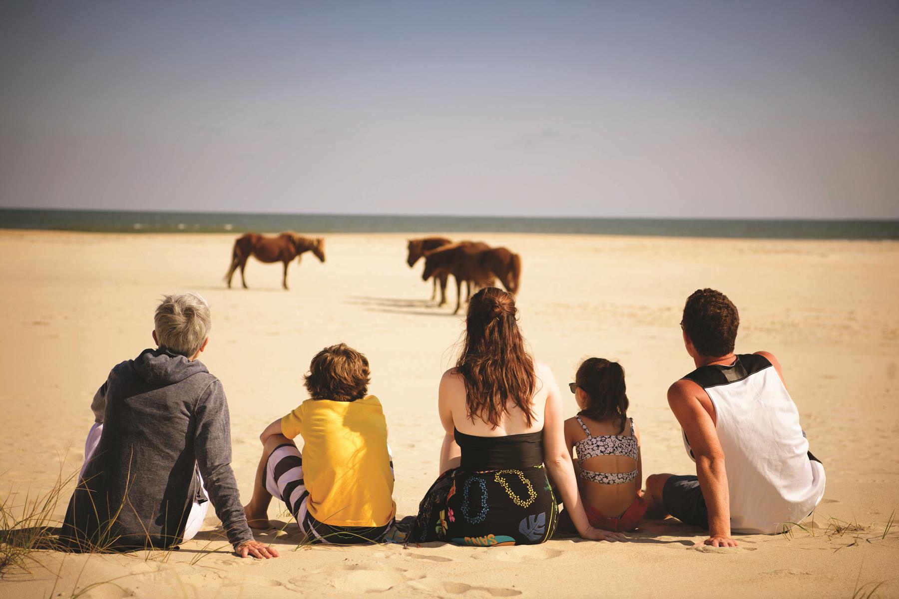 LGT1220__MD_Ponies on Beach