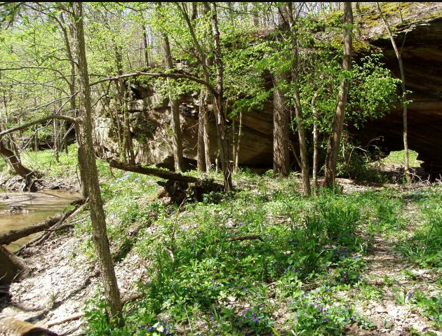 Portland Arch Nature Preserve