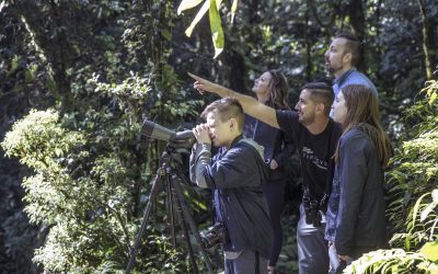 6 things to consider when booking a group tour