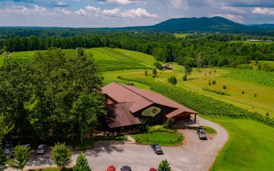 Tasty Discoveries Await Travelers in Yadkin Valley Wine Country