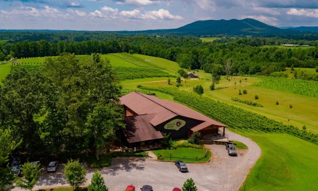 Tasty Discoveries Await Travelers in Yadkin Valley Wine Country