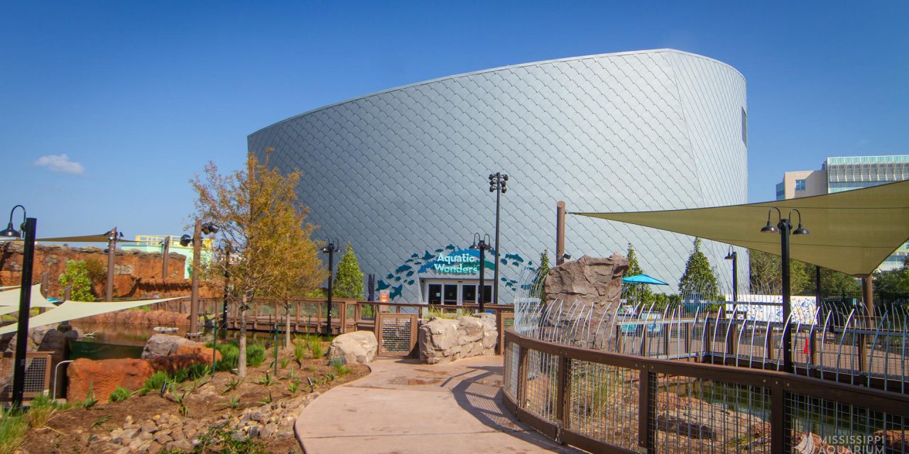 Mississippi Aquarium is a Spectacular Addition to the Gulf Coast