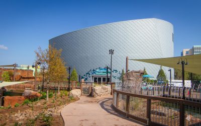 Mississippi Aquarium is a Spectacular Gulf Coast Attraction