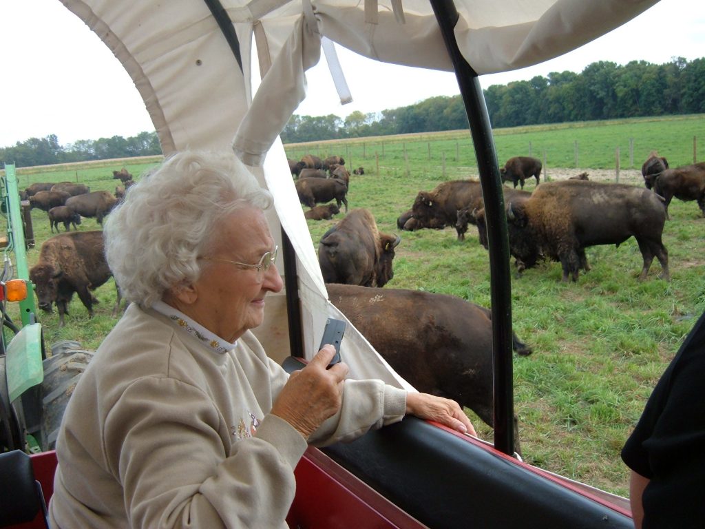 Cook’s Bison Ranch
