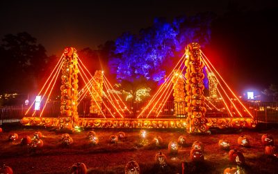 Get Into the Spirit in These 7 Halloween Cities