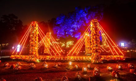 Get Into The Halloween Spirit in These Seven Cities