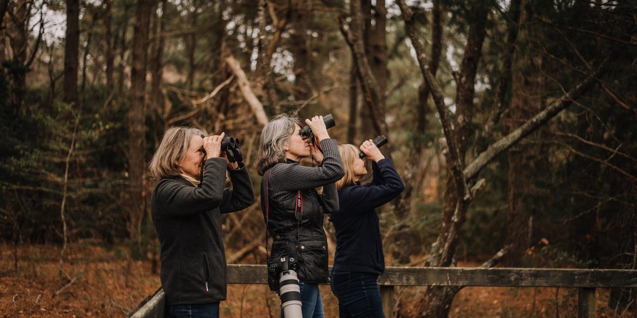 Experience Virginia Bird Watching at These Two Coastal Destinations