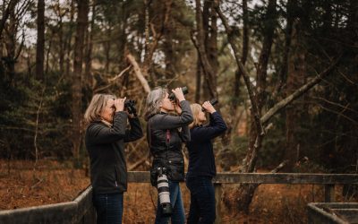 Experience Virginia Bird Watching at These Two Coastal Destinations