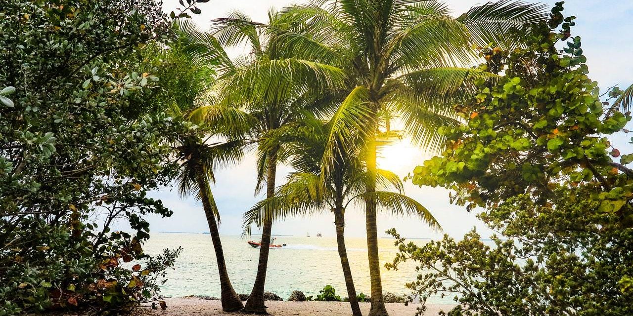 Group Visits On-board a Florida Keys Boat Rental