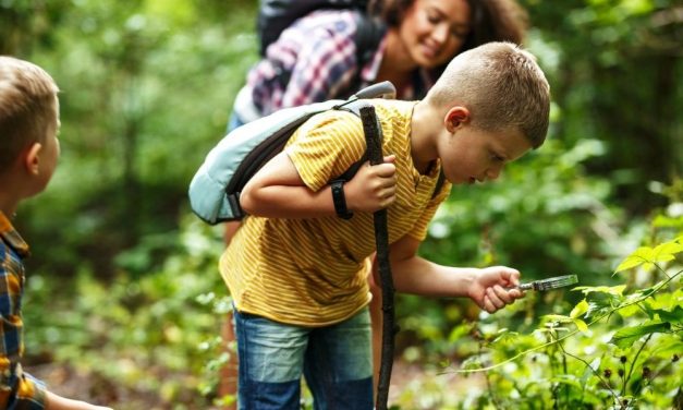 Things To Consider Before Hiking With Kids