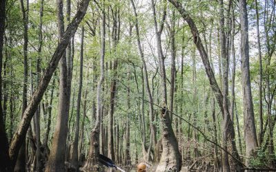 10 Safety Tips for Women Traveling on Their Own