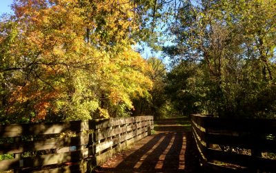 Midwest Scenic Trails