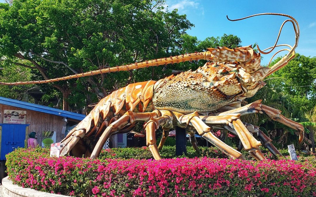 Elegant Dining and Golden Beaches Await in Florida