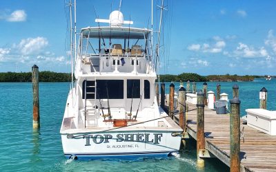 Planning a Group Fishing Adventure: Tips for Beginners and Experts