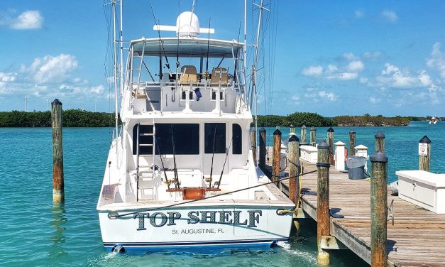 Planning a Group Fishing Adventure: Tips for Beginners and Experts