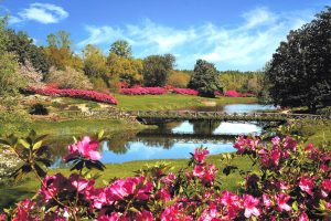 Bellingrath Gardens are lovely at all times of the year.