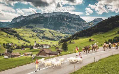 Discover Swiss Customs and Traditions on a Trip to Central Europe
