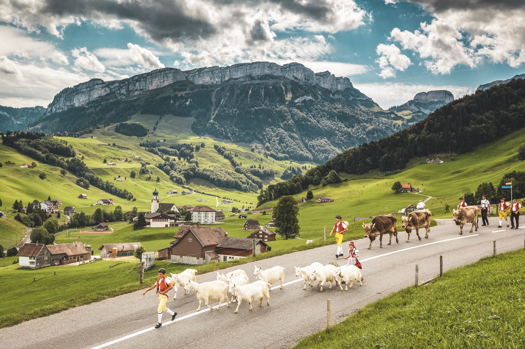 Cows, goats and their costumed herders parade down the mountainside in an Alpine descent festival near Schwende in the canton of Appenzell Innerrhoden. Switzerland Tourism/Jan Geerk