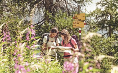 Time to Ditch Your Tour Operator for a New One?