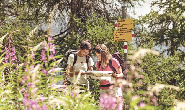 Time to Ditch Your Tour Operator for a New One?