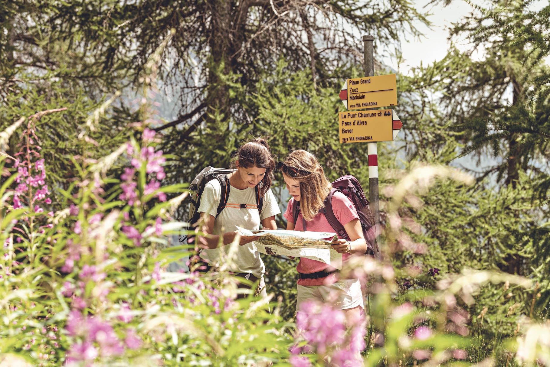 ditch your tour operator