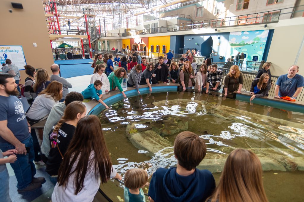 Guests encounter slithery creatures at one of the aquarium’s touch pools.