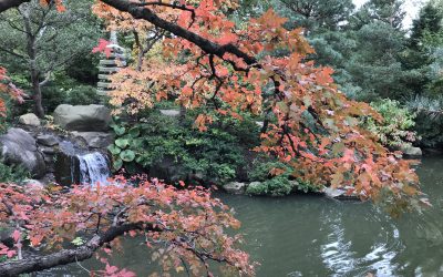 Anderson Japanese Gardens Relax the Mind and Soul