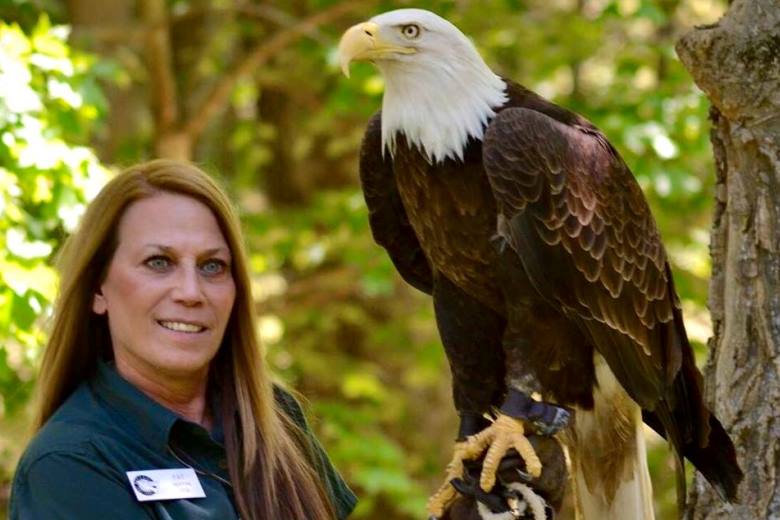 The World Bird Sanctuary, southwest of St. Louis, is home to eagles, falcons and other species.