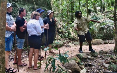 Pathways Project Aims to Diversify Tourism