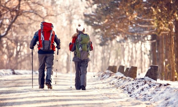 The Best Trails To Hike in the Wintertime