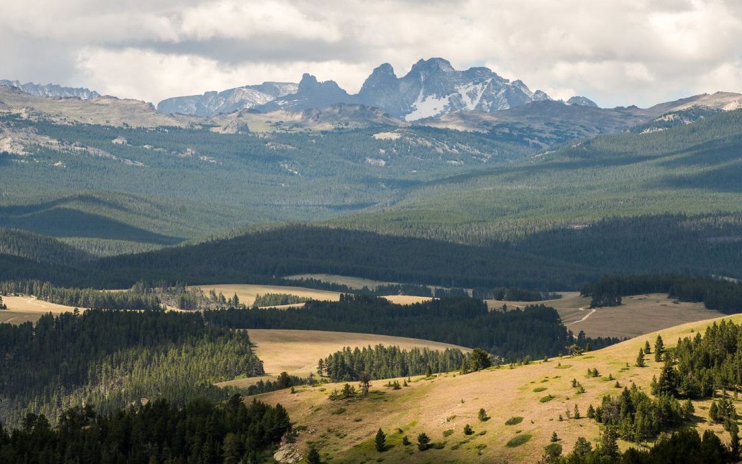 The Ultimate Backyard Adventure Awaits in Sheridan Wyoming