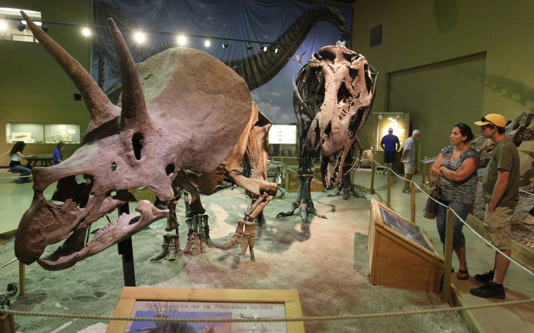 Explore a Journey Through Time in Bighorn Wyoming