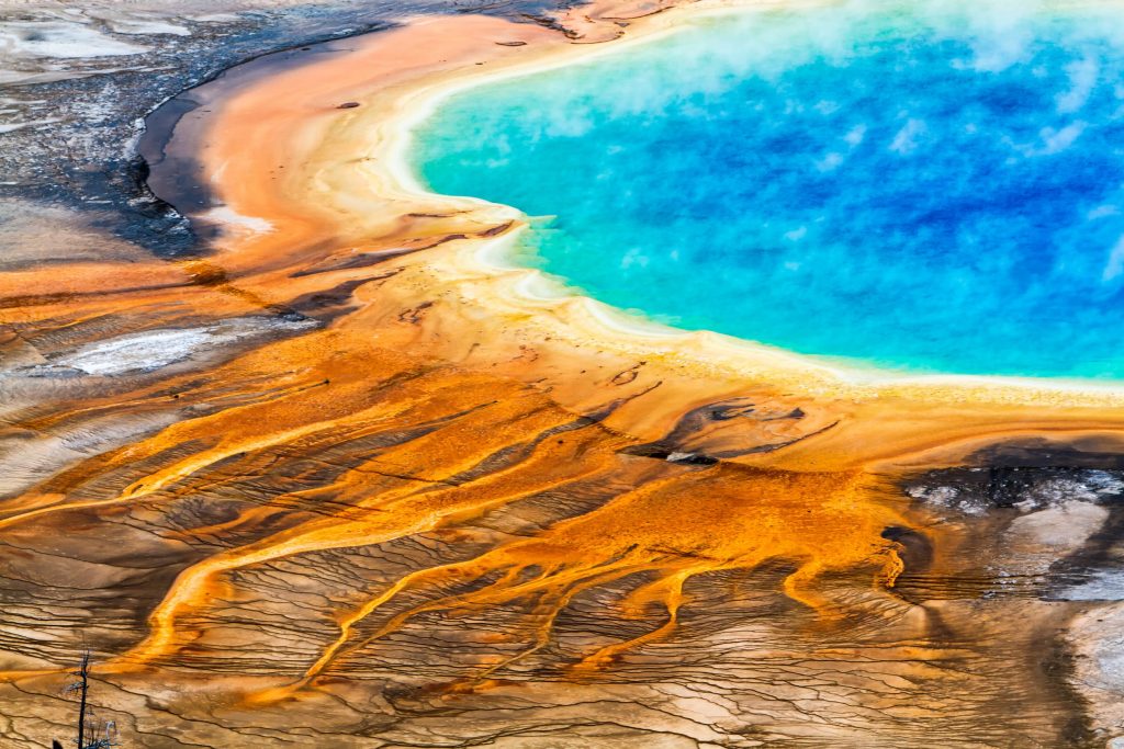 Yellowstone is one of the most fascinating national parks on the planet.