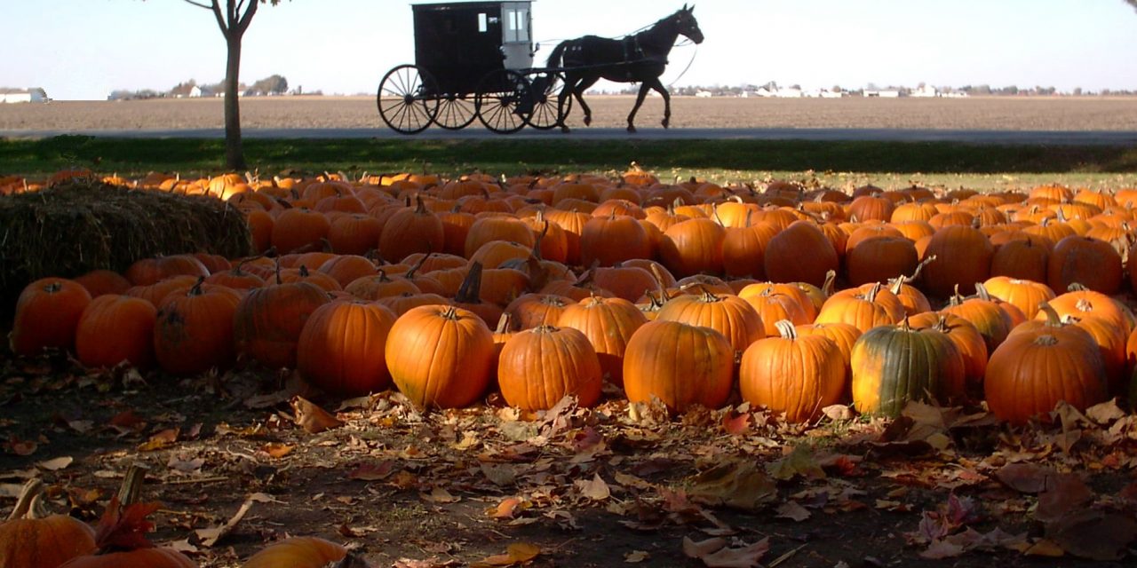 Illinois Autumn Attractions are a Sight to Behold